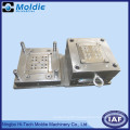 Professional Customized Plastic Injection Mould for Steel Material